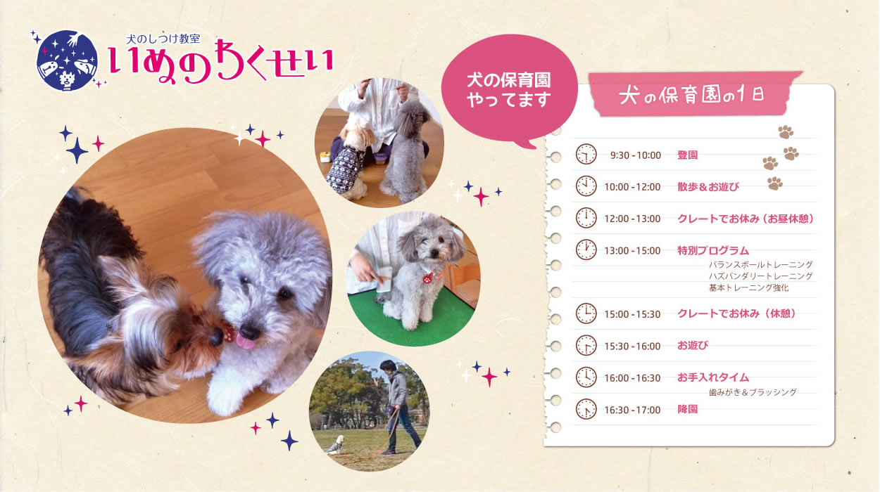 福岡にある犬のしつけ教室「いぬのわくせい」では、トレーニング場を開設して犬の保育園を始めました