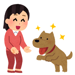 ピアノや英会話のように 犬のしつけ も習い事として始めてみませんか 福岡 犬のしつけ教室 いぬのわくせい 訪問レッスン カウンセリング