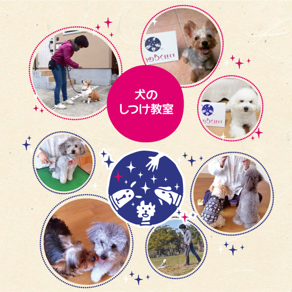「いぬのわくせい」は福岡にある犬のしつけ教室と犬の保育園です